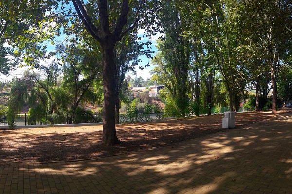 Zêzere Park - Camping Constância, Constância (Centro - Beiras)